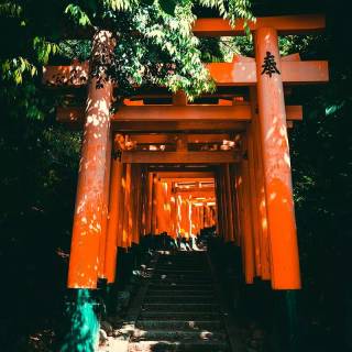 Japanese Torii wallpaper