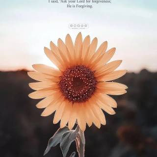 Islam 4k phone wallpaper