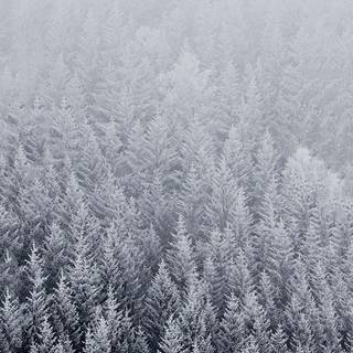 iPhone 4k snow wallpaper