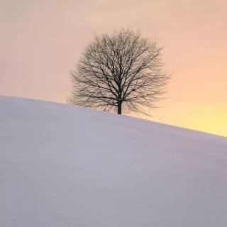 iPhone 4k snow wallpaper