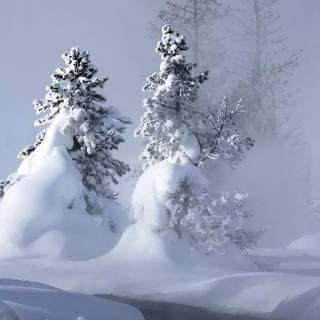 iPhone 4k snow wallpaper