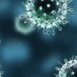 Virus phone wallpaper