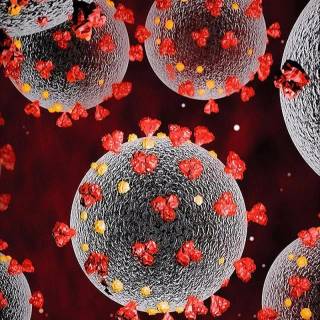 Virus phone wallpaper