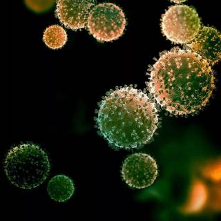 Virus phone wallpaper