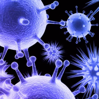 Virus phone wallpaper