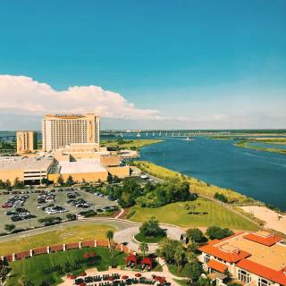 Vintage iPhone 12 wallpaper