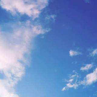 Vintage iPhone 12 wallpaper