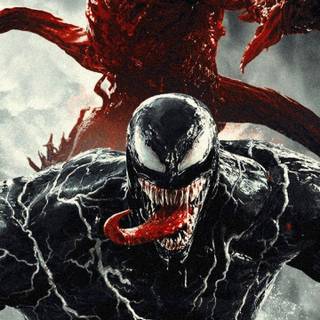 Venom iPhone 11 wallpaper