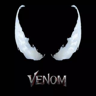 Venom iPhone 11 wallpaper