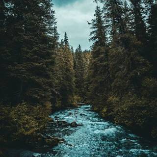 Urban phone wallpaper