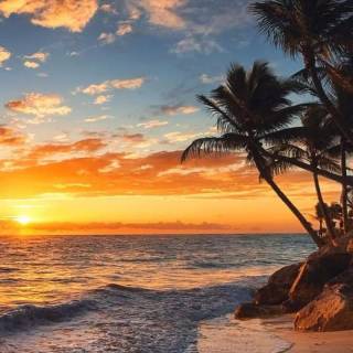 Tropical sunset iPhone wallpaper