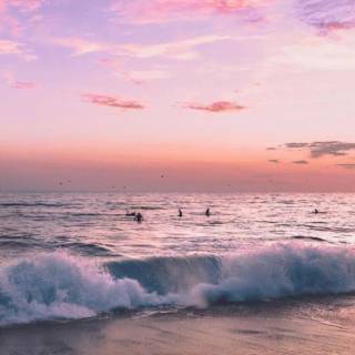 Tropical sunset iPhone wallpaper