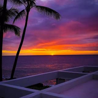 Tropical sunset iPhone wallpaper