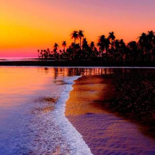 Tropical sunset iPhone wallpaper