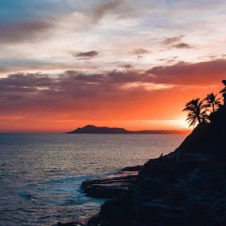 Tropical sunset iPhone wallpaper