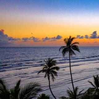 Tropical sunset iPhone wallpaper