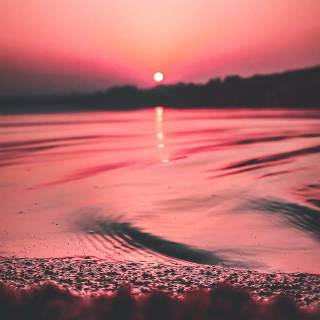 Tropical sunset iPhone wallpaper