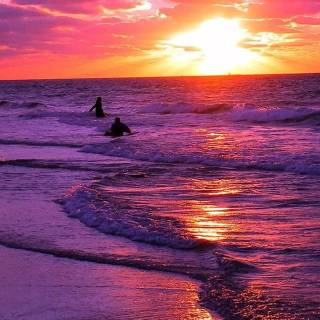 Tropical sunset iPhone wallpaper