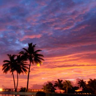 Tropical sunset iPhone wallpaper