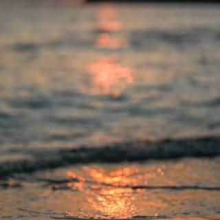Tropical sunset iPhone wallpaper