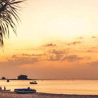 Tropical sunset iPhone wallpaper