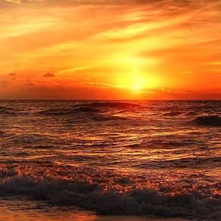 Tropical sunset iPhone wallpaper