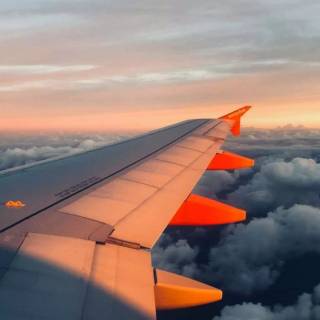 Trip phone wallpaper