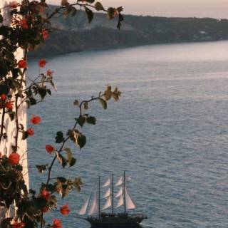 Trip phone wallpaper