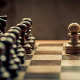 Pawn Sacrifice wallpaper