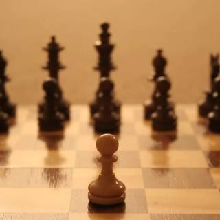 Pawn Sacrifice wallpaper