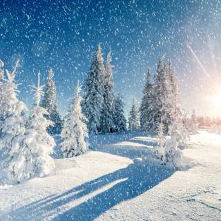 Bright winter landscape wallpaper