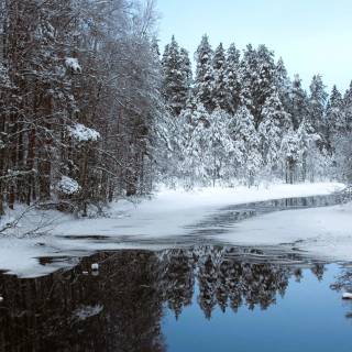 Winter tree 4k wallpaper