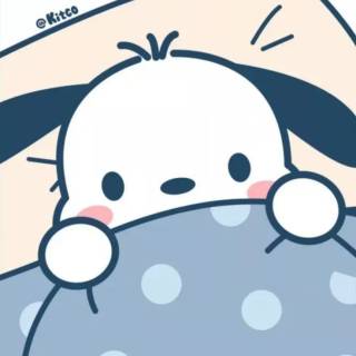 Pochacco winter wallpaper