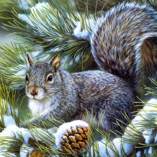 Winter animal PC wallpaper