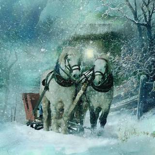 Winter animal PC wallpaper