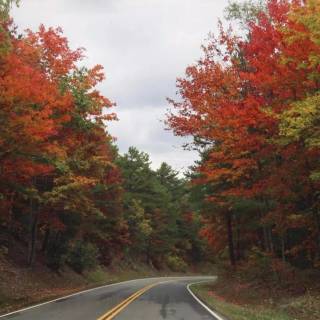 Great Smoky Mountains autumn wallpaper