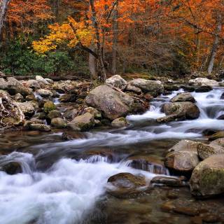 Great Smoky Mountains autumn wallpaper