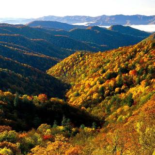 Great Smoky Mountains autumn wallpaper