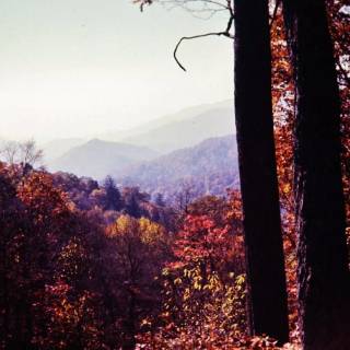 Great Smoky Mountains autumn wallpaper