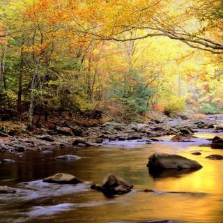 Great Smoky Mountains autumn wallpaper