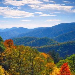 Great Smoky Mountains autumn wallpaper