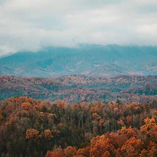 Great Smoky Mountains autumn wallpaper