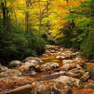 Great Smoky Mountains autumn wallpaper