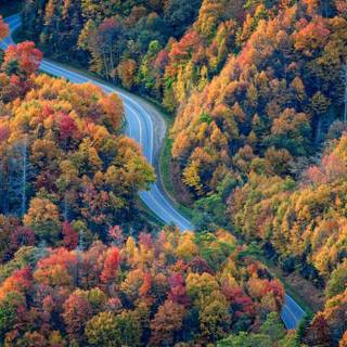 Great Smoky Mountains autumn wallpaper
