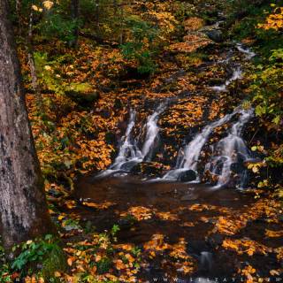 Great Smoky Mountains autumn wallpaper