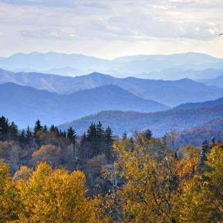 Great Smoky Mountains autumn wallpaper