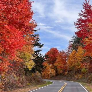 Great Smoky Mountains autumn wallpaper