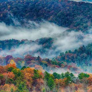 Great Smoky Mountains autumn wallpaper