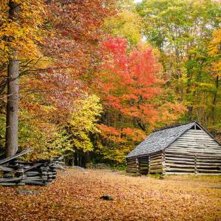 Great Smoky Mountains autumn wallpaper