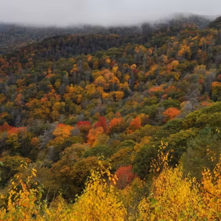 Great Smoky Mountains autumn wallpaper